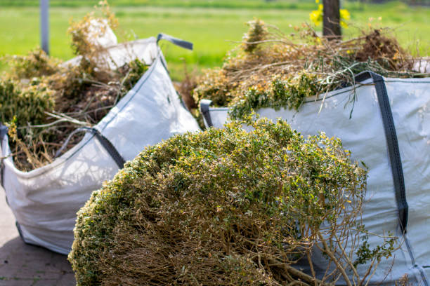 Best Same-Day Junk Removal Services  in Rossville, IN